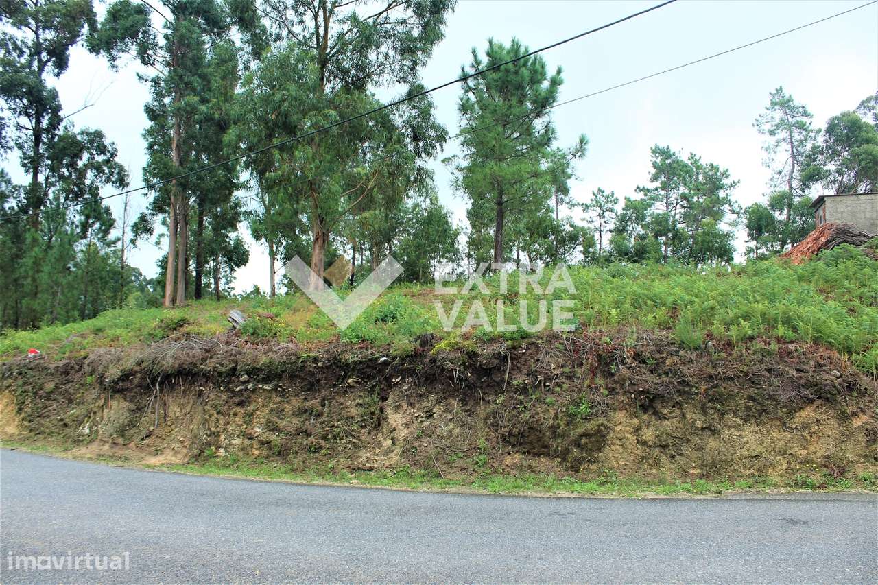 Terreno Para Construção  Venda em Ardegão, Freixo e Mato,Ponte de Lima - Grande imagem: 4/19