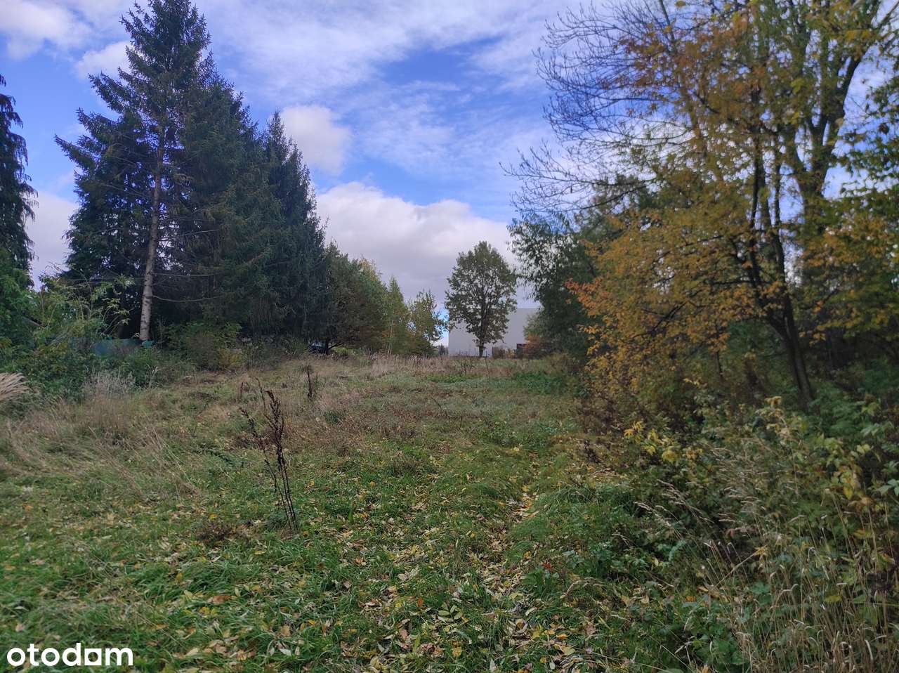 Dom z dużą działką pod inwestycję lub rekreację atrakcyjna lokalizacja - Pełny obrazek: 4/17