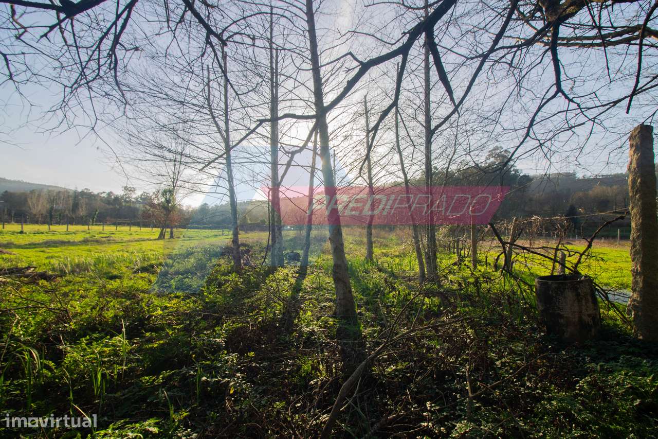 Terreno Agrícola em Escariz S. Mamede-5