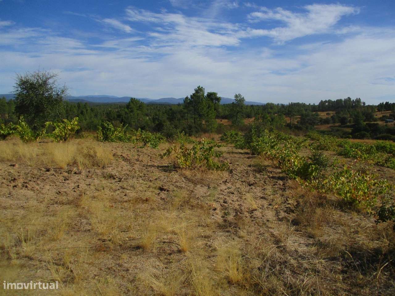 Terreno - Grande imagem: 4/9