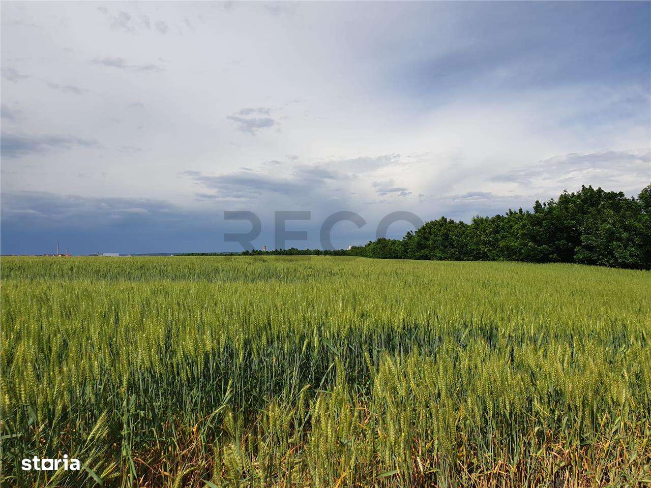 RECO Teren extravilan zona Aeroport Oradea - Imagine principală: 2/3