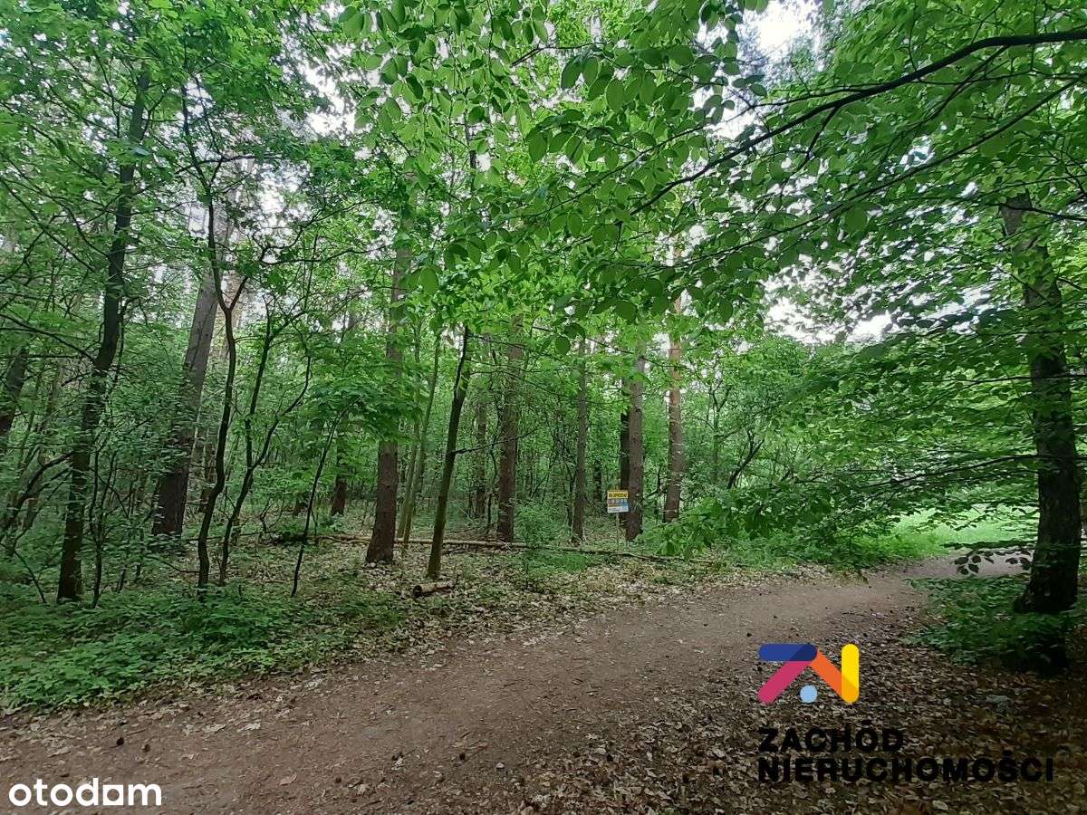 Działka budowlana na sprzedaż! - Pełny obrazek: 4/4