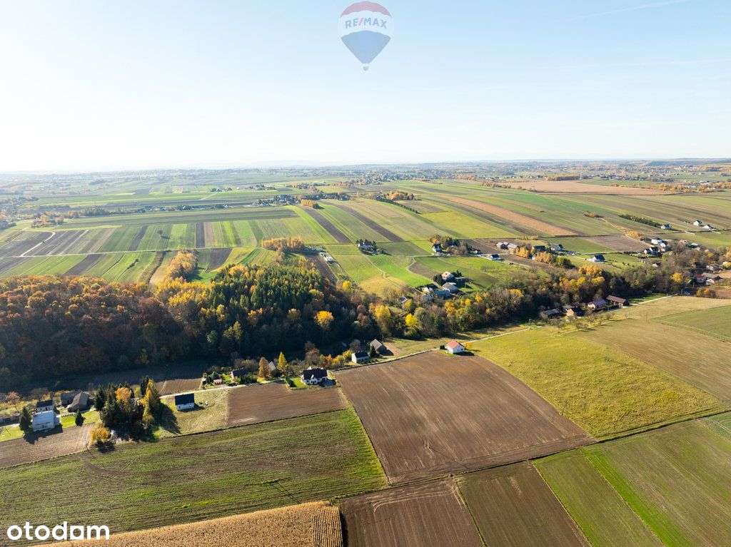 Dom z kawałkiem lasu i bijącym źródłem k\Skały - Pełny obrazek: 5/20