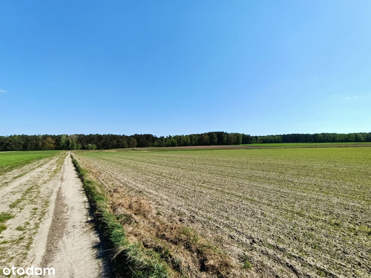 Działka z WZ - Lipiny - do 10 minut od Siedlec