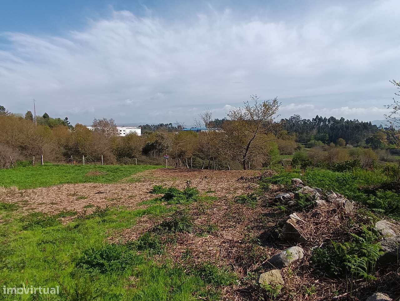 Terreno – Oliveira de Frades - Grande imagem: 4/12