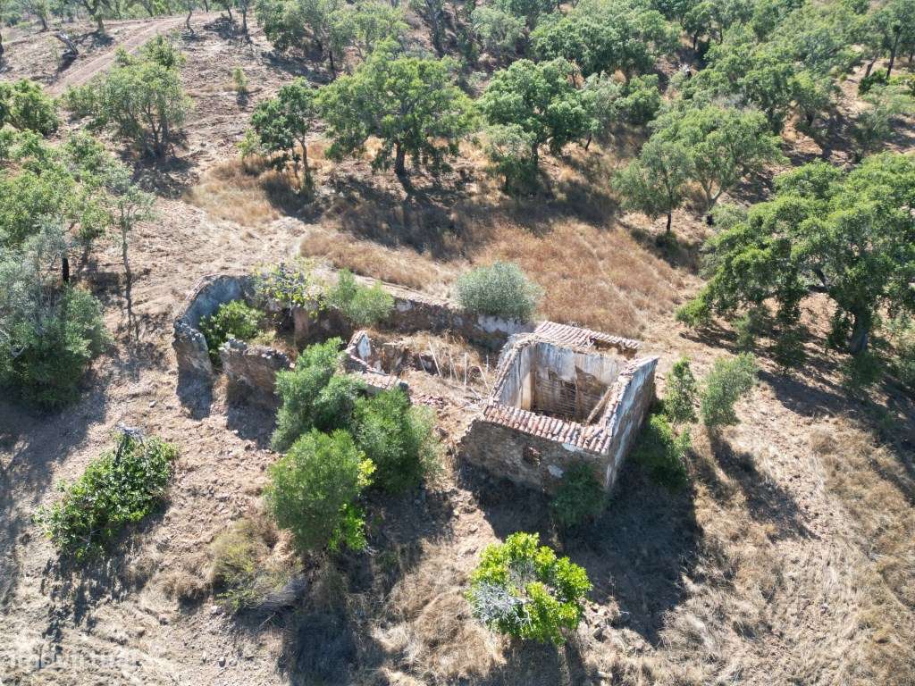 Refúgio campestre em Abela - Grande imagem: 3/21