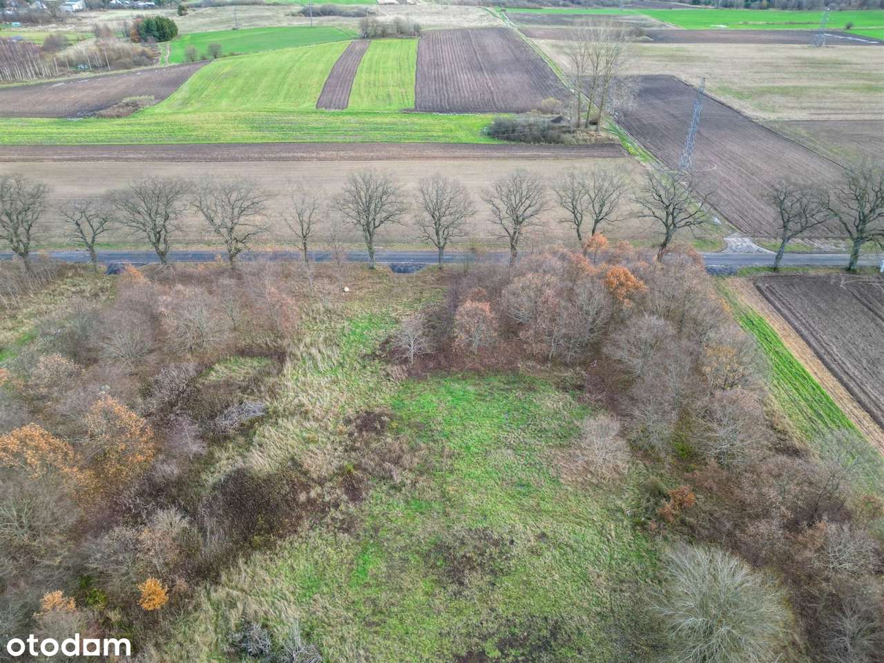 2 uzbrojone działki w otulinie lasu! - Pełny obrazek: 5/10