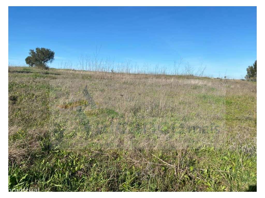 Herdade com 18 Hectares para Venda - próximo à cidade de Beja - Grande imagem: 4/18