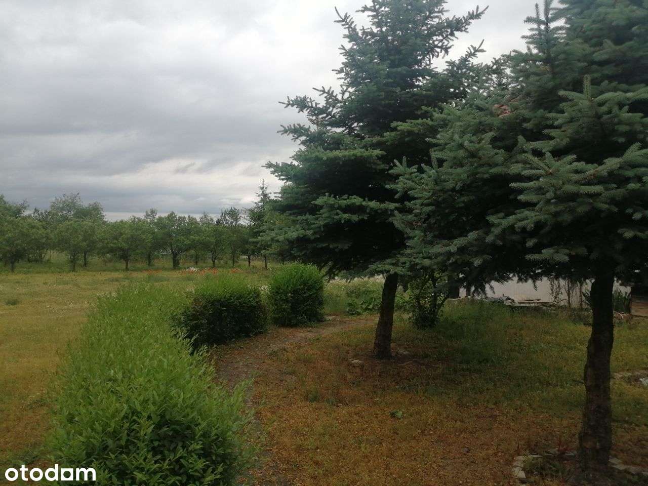 Kraśnik Dolny | Dom z dużą działką | Bezpośrednio - Pełny obrazek: 5/20