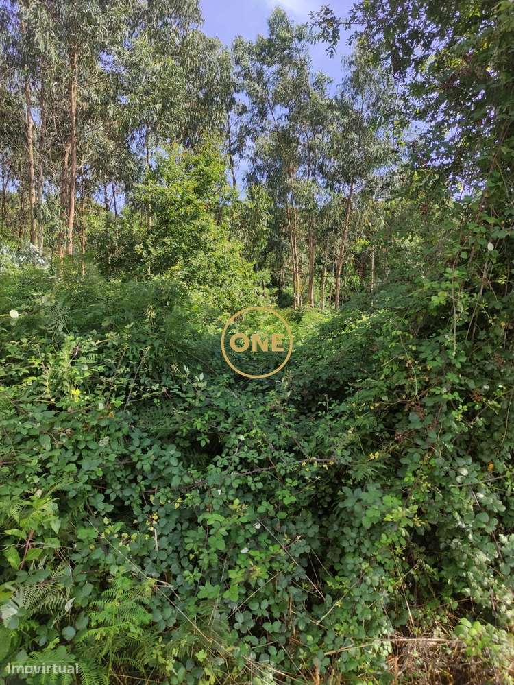 Venda Terreno - Grande imagem: 5/5