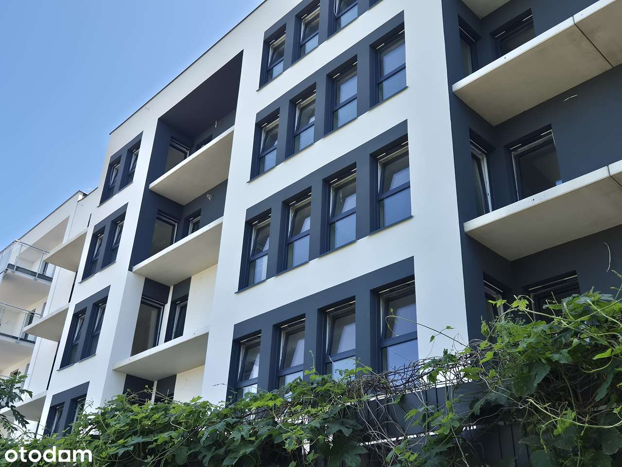 Ustawne 3 Pokoje 66 m2 - GOTOWE do odbioru - Super cena - Piątkowo-4