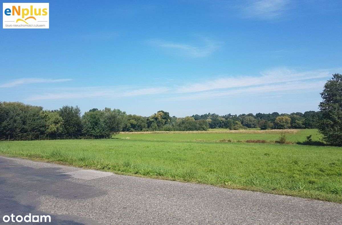 Działka w Lusinie pod Krakowem - Pełny obrazek: 2/4