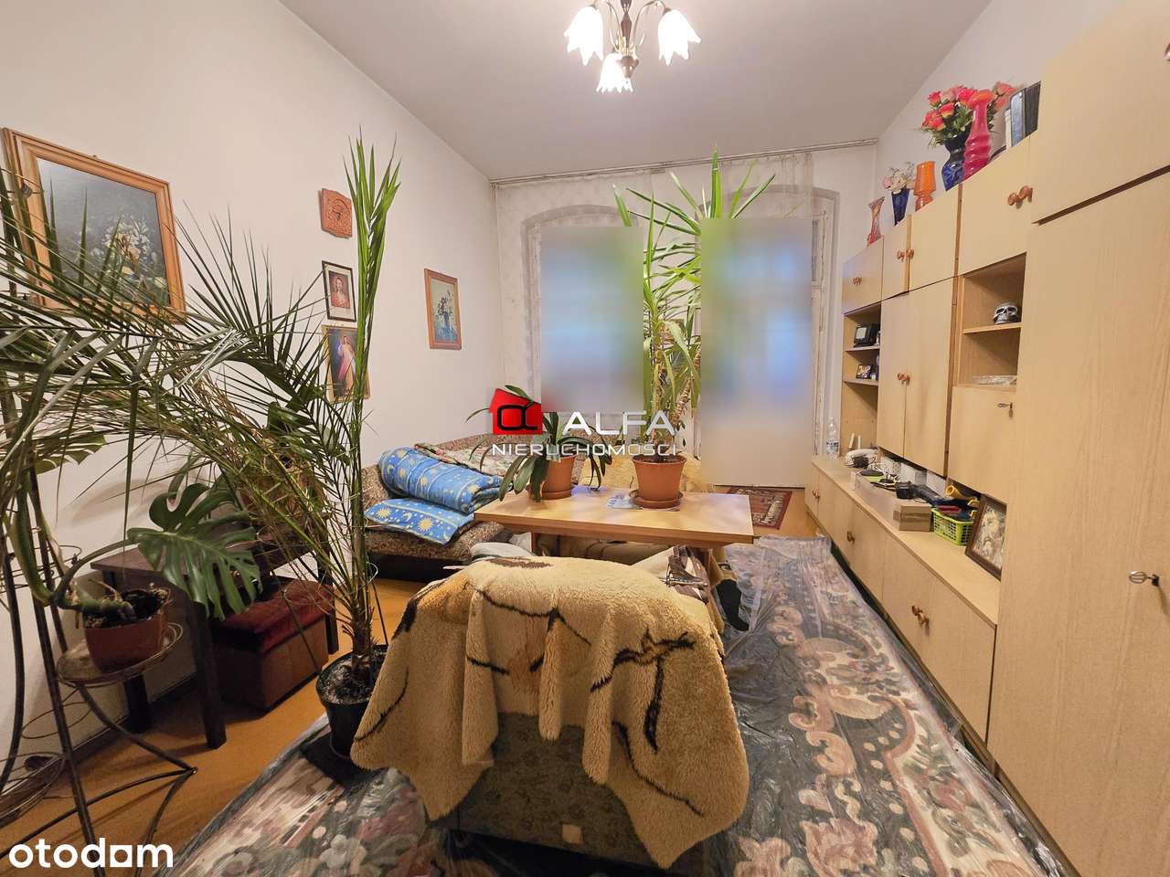 3 pokoje z balkonem, ul. Jagiellońska!  OKAZJA - Pełny obrazek: 5/12