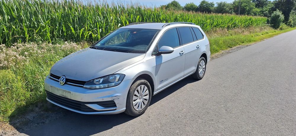 Volkswagen Golf VII (2012-2020) 2019