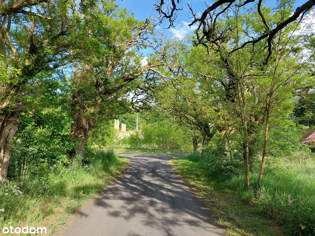 Nieruchomość pod Eko-Wioskę 18 000 m2 - Pełny obrazek: 4/8