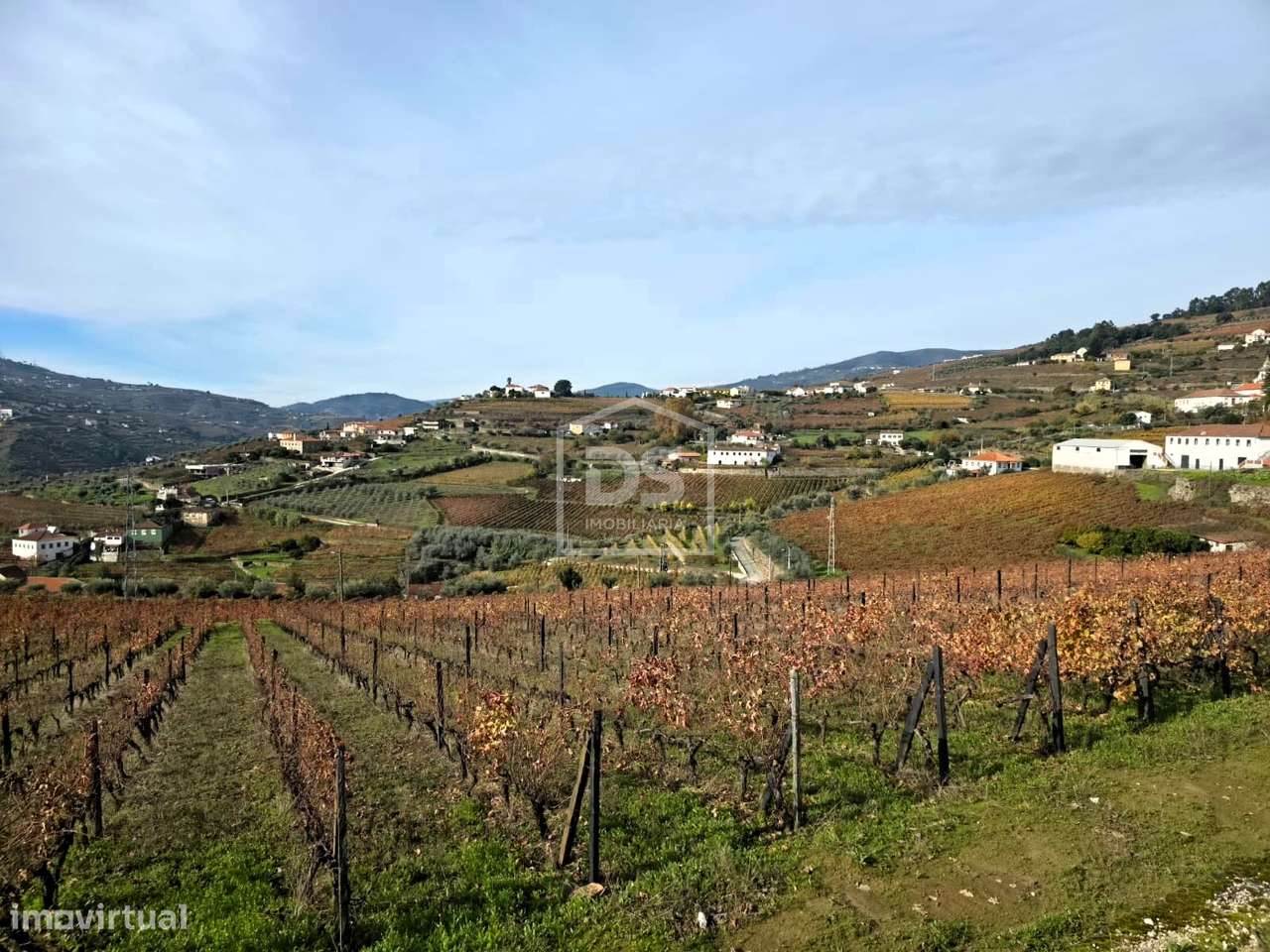 Quinta T4 Venda em Fontelas,Peso da Régua-16