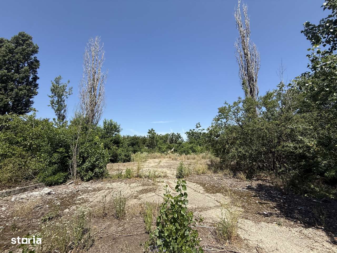 VÂNZARE Teren Case|Blocuri - 2300 mp-|Dezvoltare Bragadiru - Imagine principală: 5/9