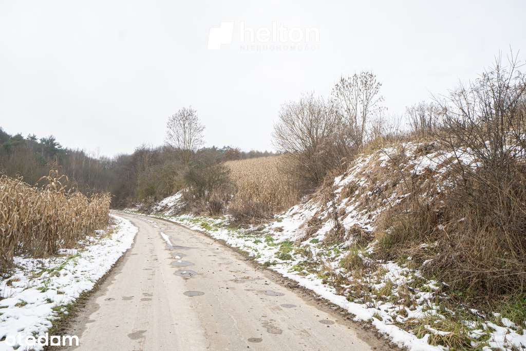 Duża działka 1,2 ha || ok. Miechowa||-3