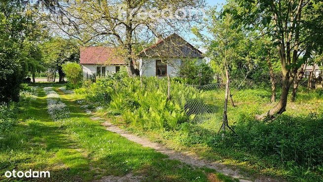 Urocze siedlisko na uboczu, pow. 5,5ha w Dorohusku