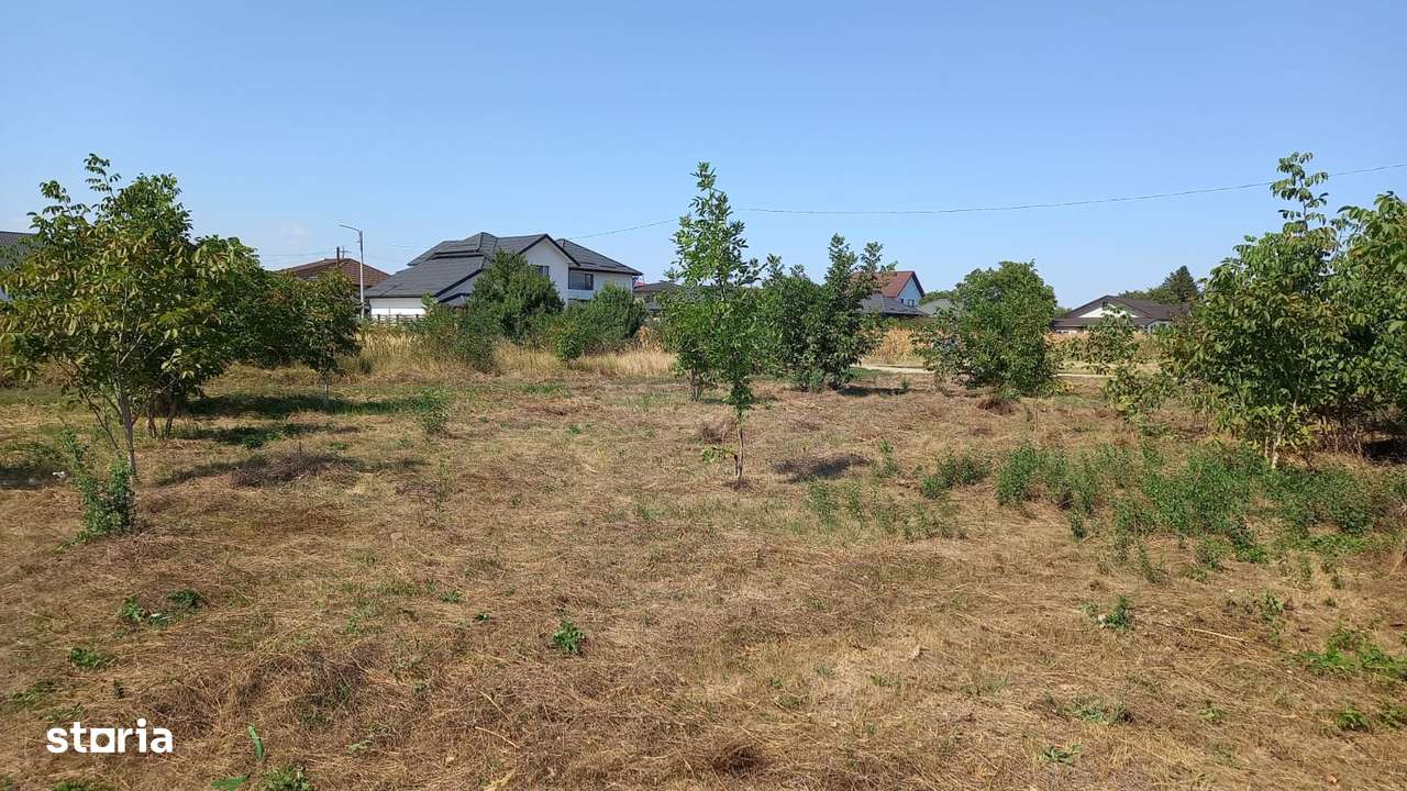 Teren intravilan Crevedia, Manstirea, 877mp, Particular, 0% comision-6