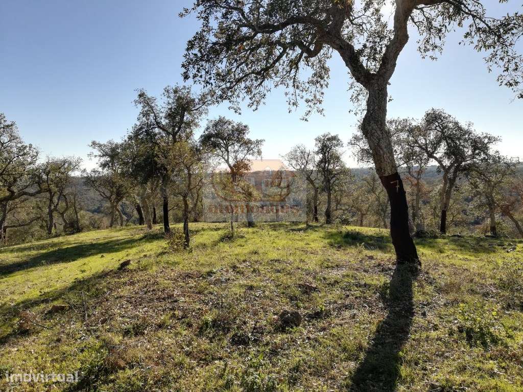 Hotel Rural: PRONTO A CONSTRUIR com todos os projectos aprovados-11