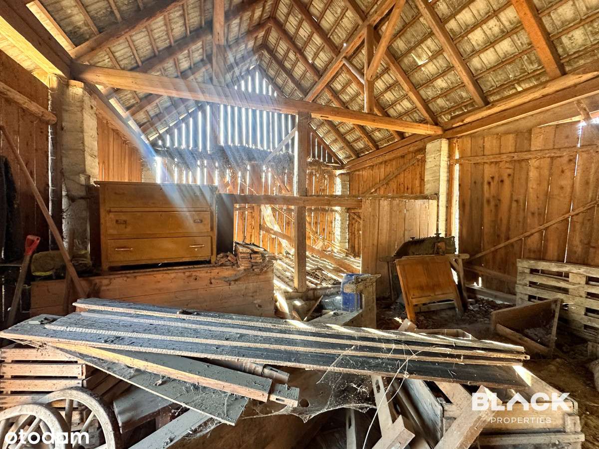 Działka 4,3 ha - ogromny potencjał inwestycyjny-13