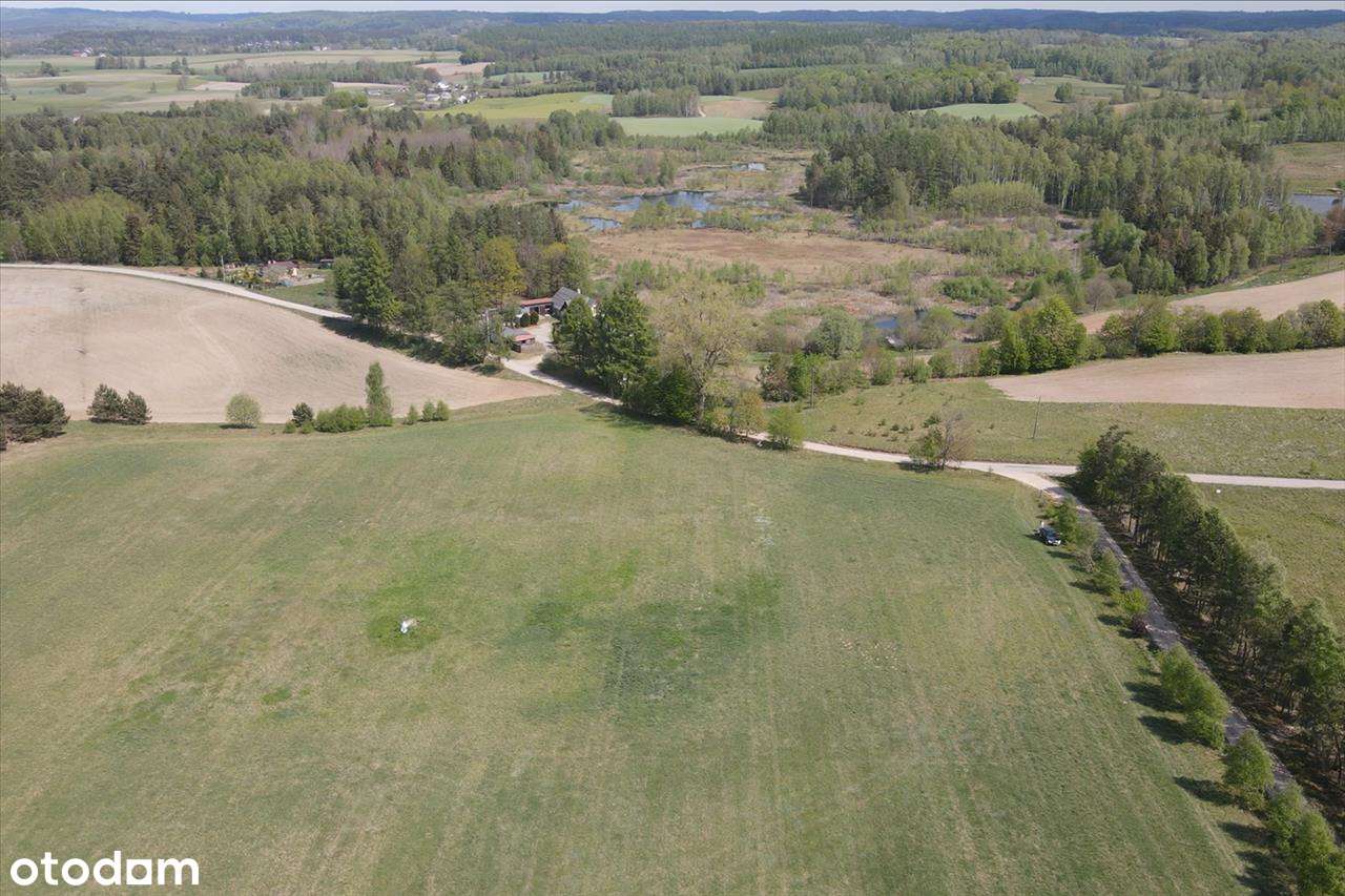 Kaszubska oaza ciszy i spokoju – duża działka z WZ, 45 min od  Gdańska - Pełny obrazek: 4/7