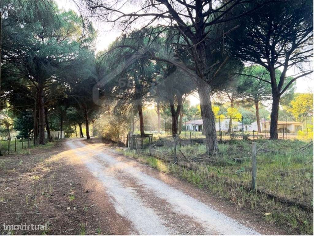 Terreno na Herdade do Zambujeiro - Grande imagem: 4/14