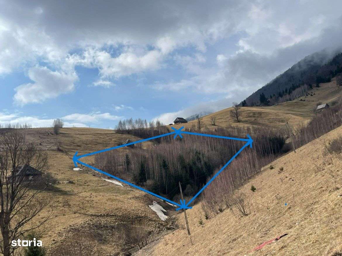 Teren Cu Potential De Dezvoltare În ZONA TURISTICĂ MAGURA-PESTERA - Imagine principală: 4/14