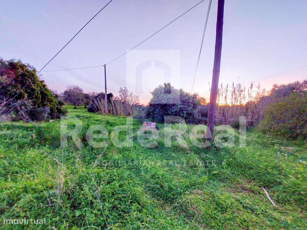 Casa Antiga T3 Venda Faro-13