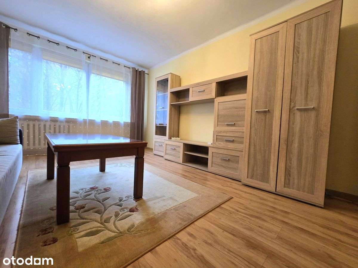 Atrakcyjne mieszkanie na Olszy-1