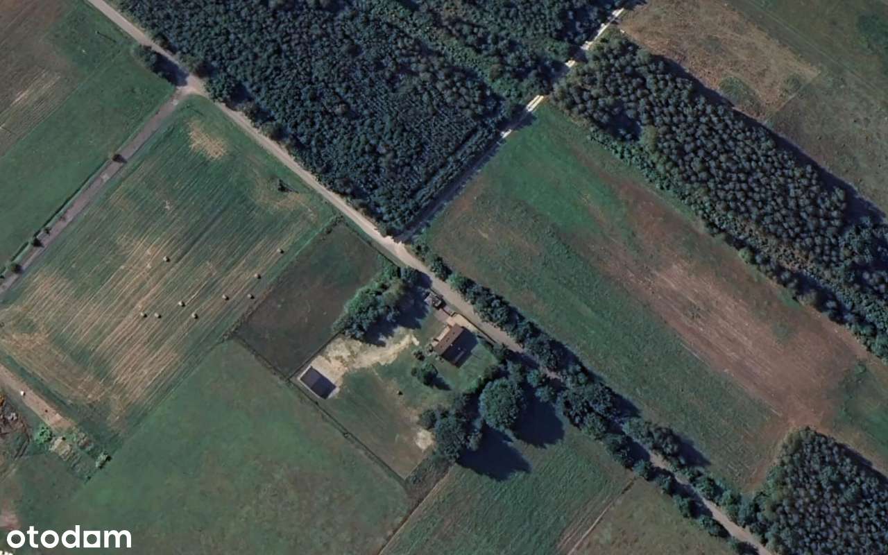 Na sprzedaż działka pod lasem w cichej okolicy | Rudniki - Kolonia. - Pełny obrazek: 3/6