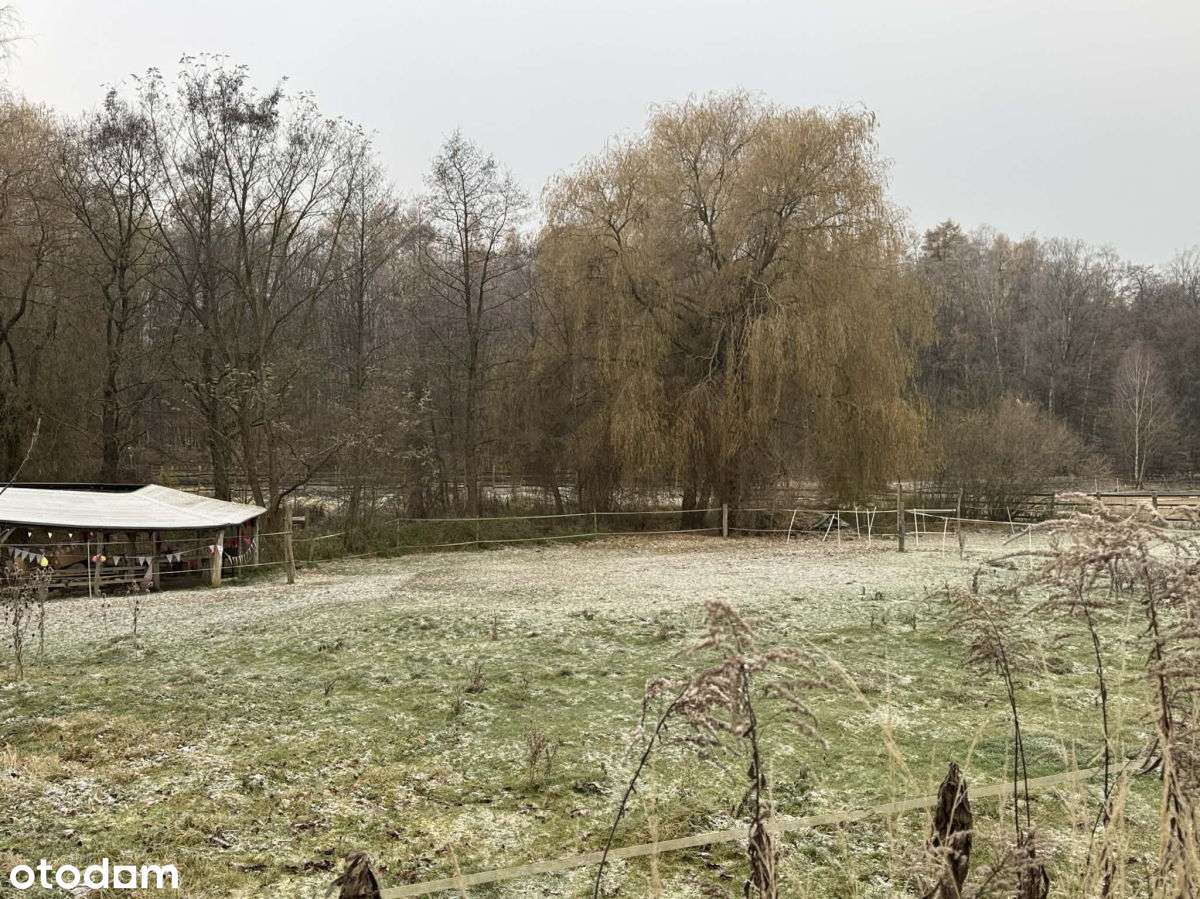 PoznaŃ, Strzeszyn, rezydencyjna, przy lesie-8