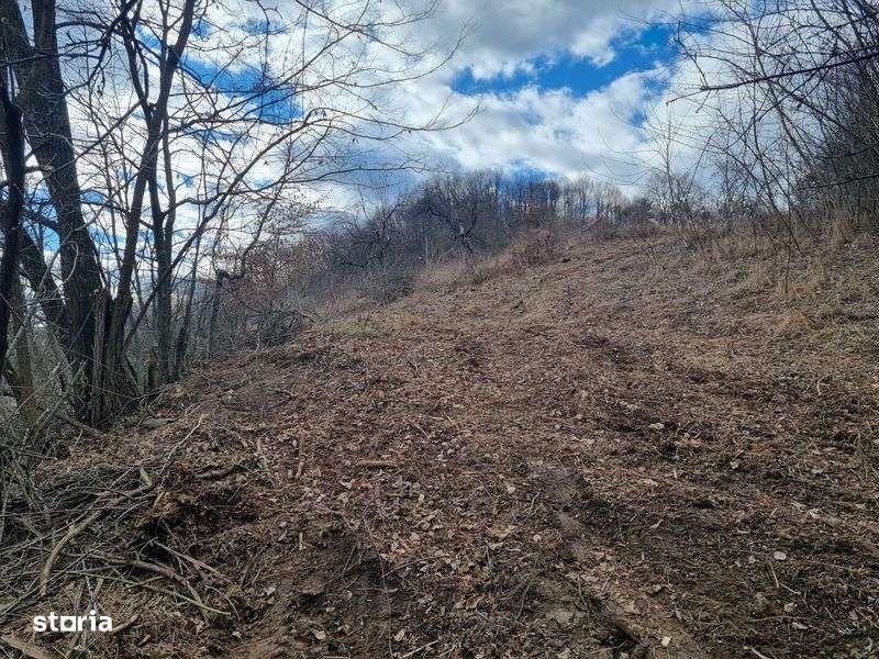 Teren extravilan si intravilan de vanzare in Valcea, Opatesti - Imagine principală: 4/8