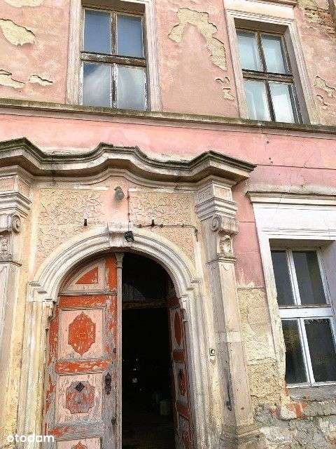 Pałac w Żabicach - Pełny obrazek: 4/11