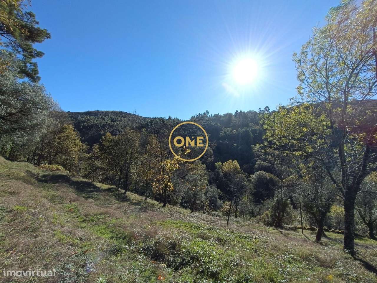 Terreno Rústico em Saim, Terras de Bouro - Grande imagem: 4/13