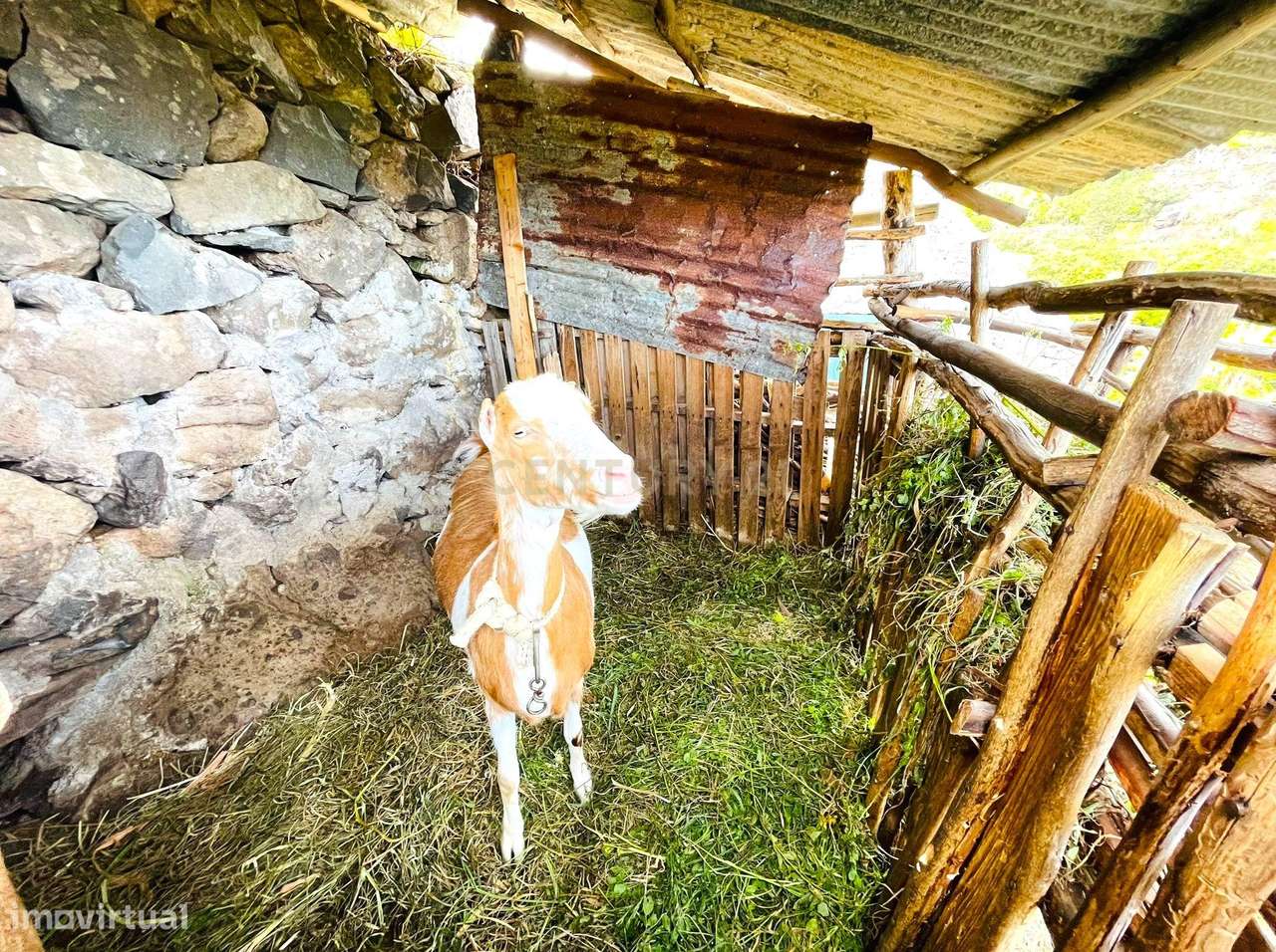 Terreno com palheiro - Santa Cruz - Grande imagem: 4/23