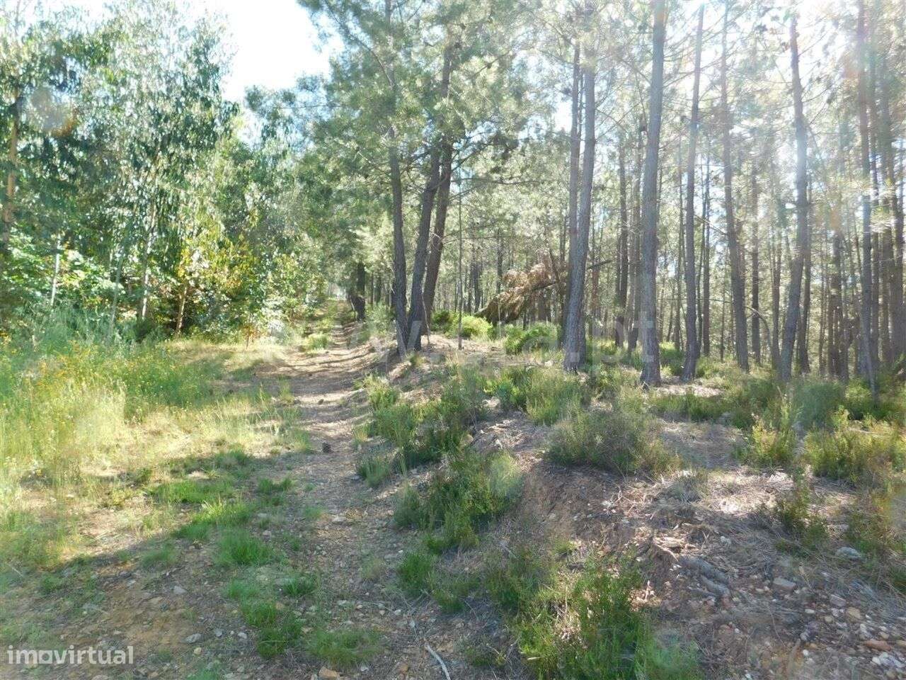 Quinta / Fundão, Souto da Casa - Grande imagem: 3/9