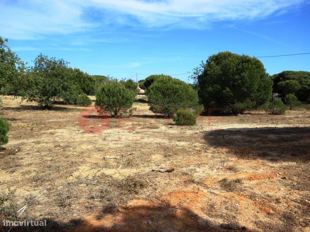 Terreno rústico de 5.200m² em Vale Verde, Almancil - Grande imagem: 2/6
