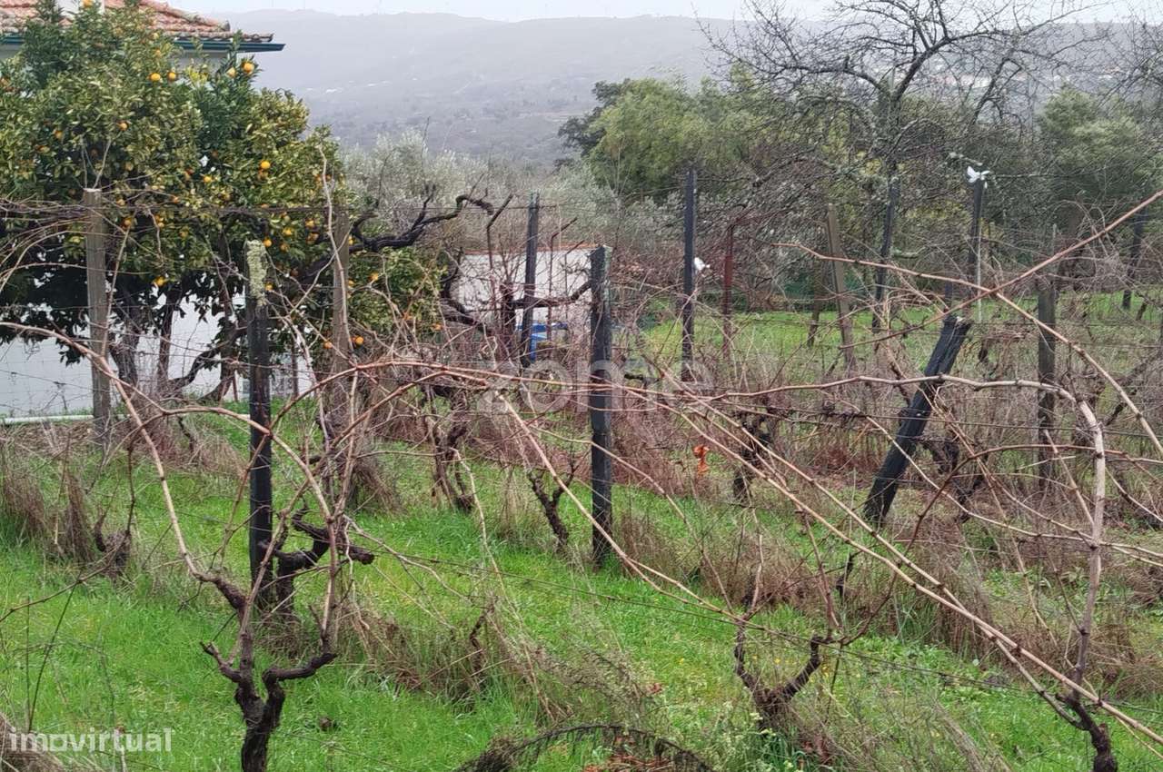 Moradia com Alma, Sol e Natureza — Um Refúgio Perfeito para Viver-37