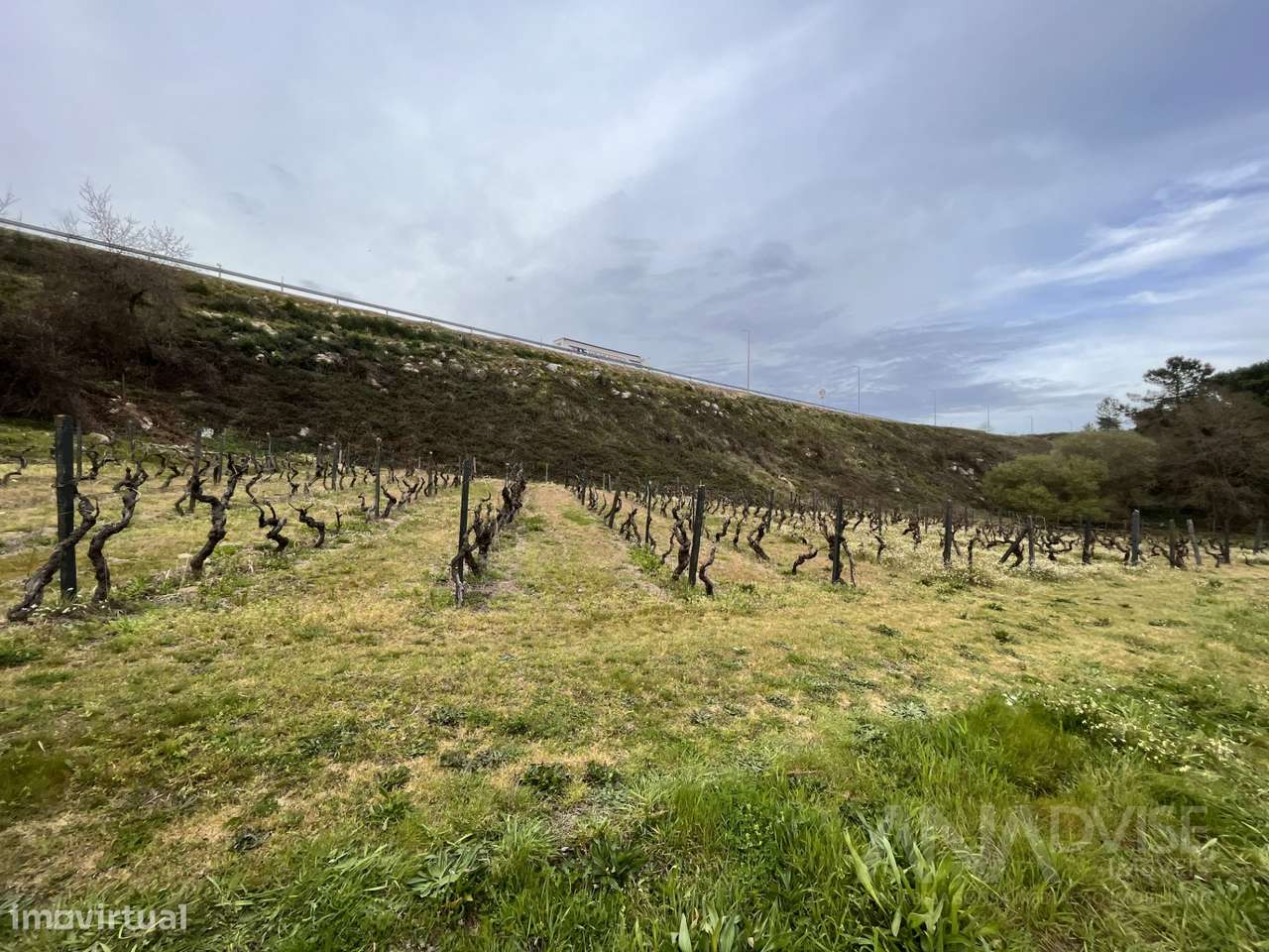 Terreno Rústico  Venda em Repeses e São Salvador,Viseu - Grande imagem: 4/9