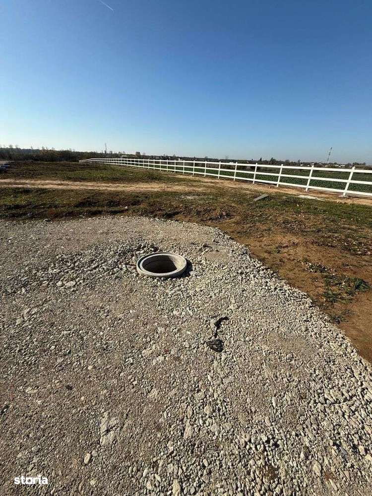 Lot de teren, padurea Snagov - Ciolpani - mega reduceri de pret!-2