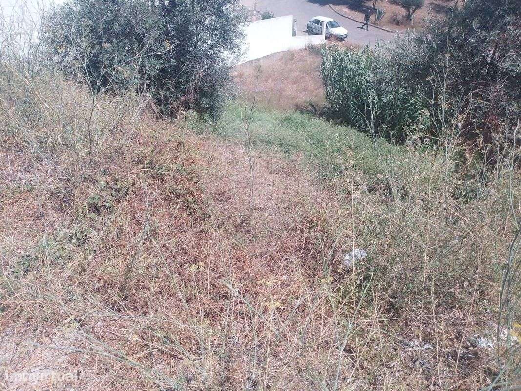 Terreno  para venda - Grande imagem: 4/8