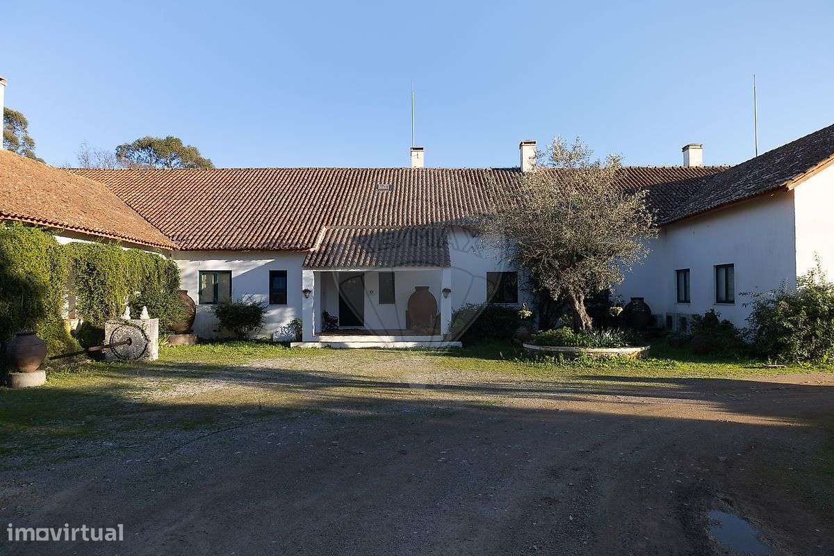 Quinta T8 para venda - Grande imagem: 5/20