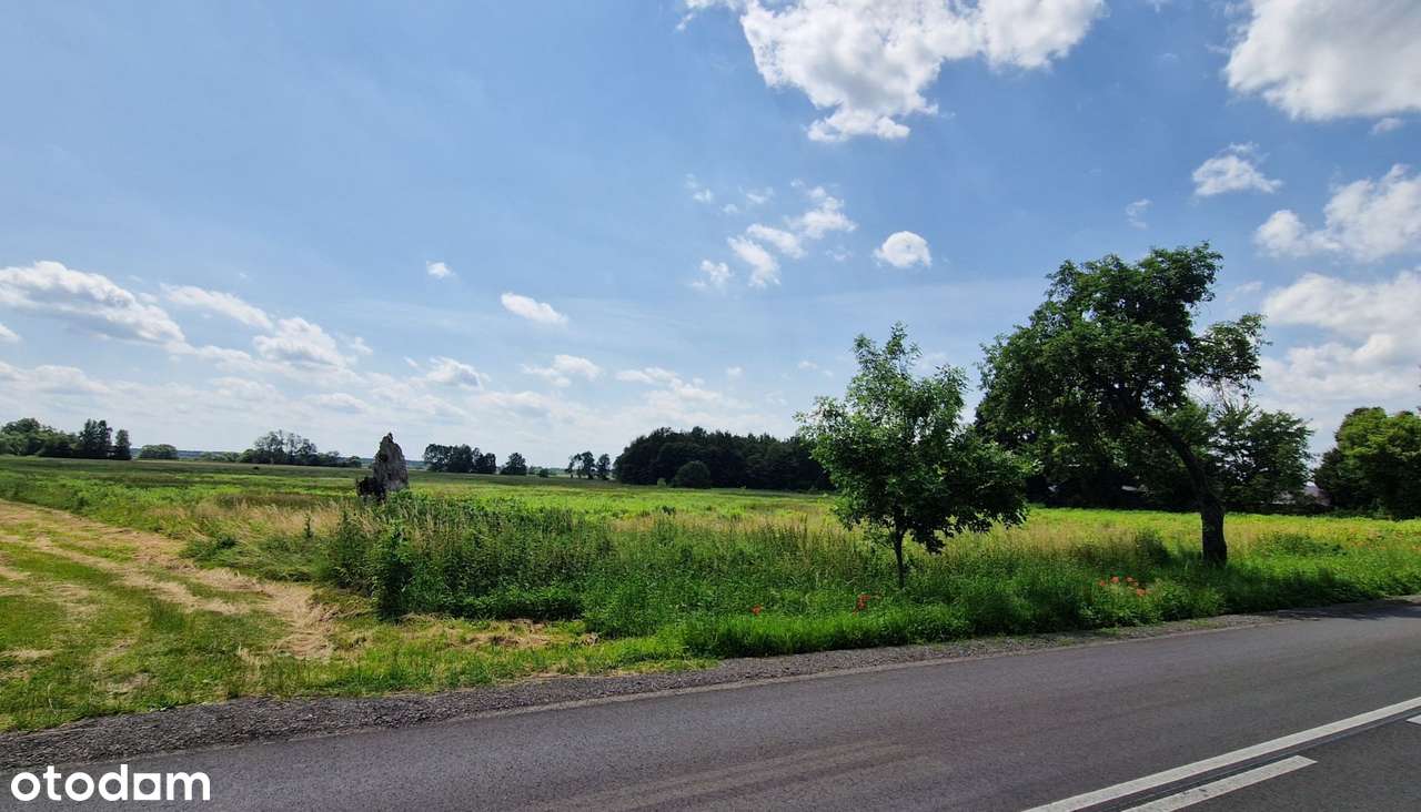 2 hektary przy drodze wojewódzkiej 784 Wojnowice gm. Gidle-0