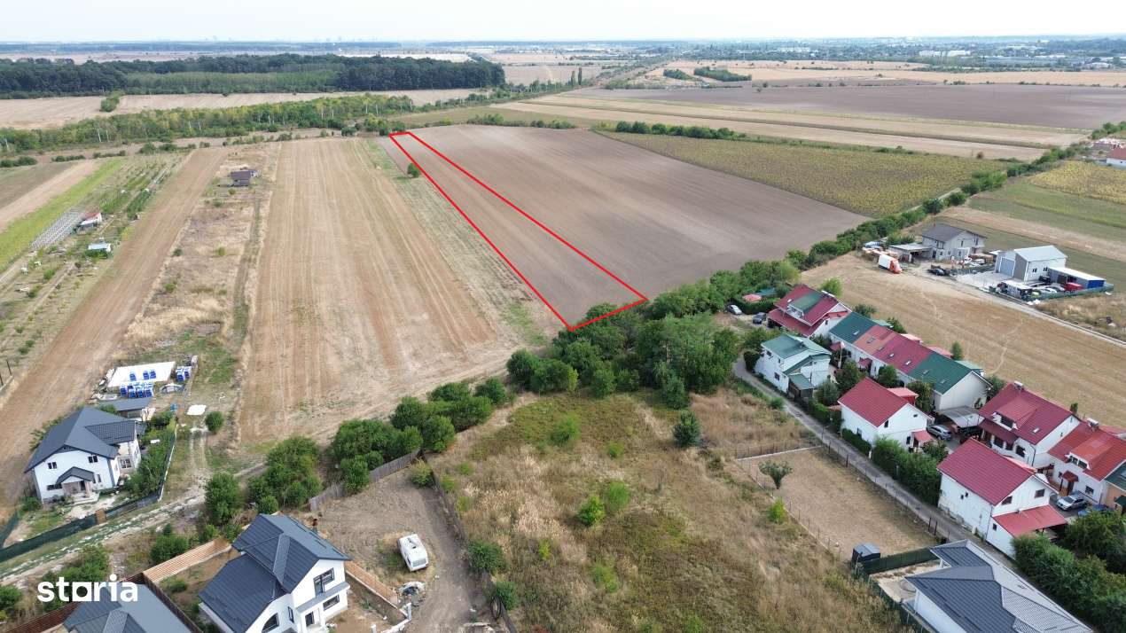 Teren intravilan 1ha Darza ideal pentru case, hala, ferma - Imagine principală: 2/5