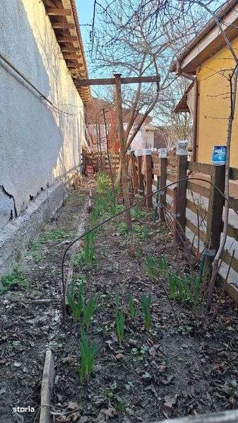 Casa 3 camere + anexe - Imagine principală: 4/6