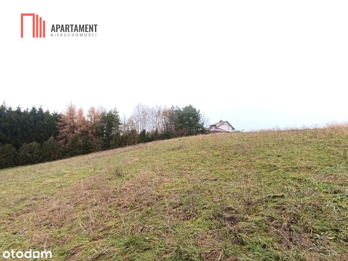 Działka rekreacyjna nad jeziorem - Pełny obrazek: 4/10