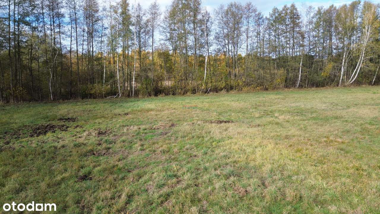 Działkę budowlaną o powierzchni 1100 m - Pełny obrazek: 1/8