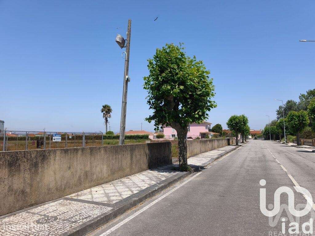 Terreno para construção em Murtosa - Grande imagem: 2/6